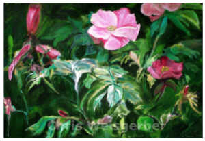 2004-06-A/C-42X52 Click to Enlarge (Sold)